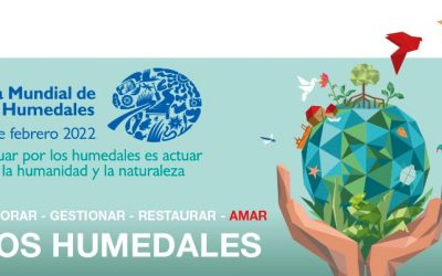 2 de Febrero | Día Mundial de los Humedales