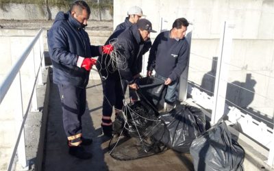 Arroyo del Barco: óptima funcionalidad y barrera flotante