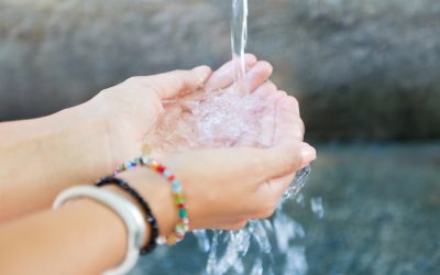 En lo que va de enero se enviaron a la red 7.803.960.000 litros de agua