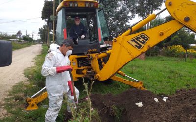 Covid-19: Decidido accionar de Obras Sanitarias buscando garantizar la prestación de los servicios