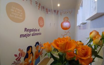 Cumplió 6 meses el primer lactario para trabajadoras de OSSE