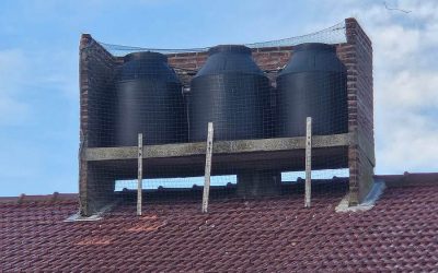 Vecinos de Zacagnini ya pueden conectarse a la  nueva red de agua